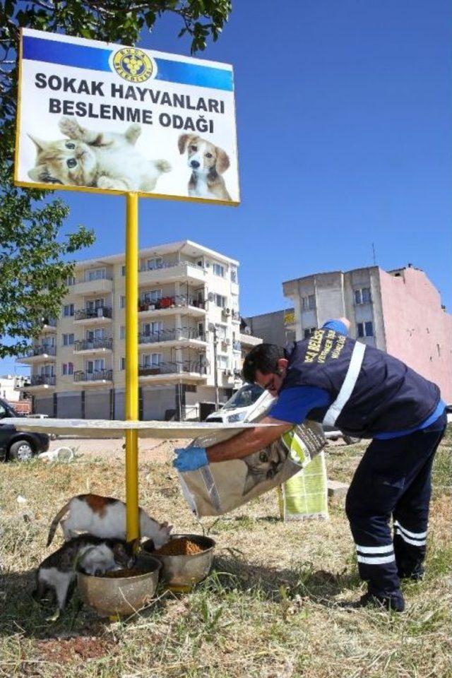 Buca’da Can Dostlara Sıcak Önlemi