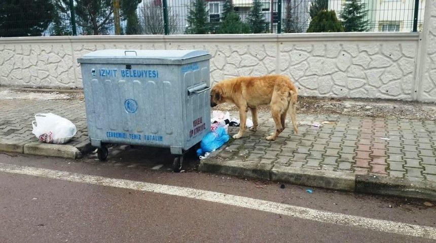 İzmit Belediyesi&rsquo;nden Temiz &Ccedil;evre Uyarısı