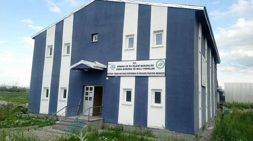 Yaban Hayvanları Kars&rsquo;ta Şifa Buluyor