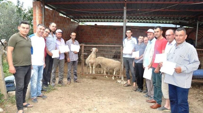 Sarıg&ouml;l&rsquo;de Sertifikalı &Ccedil;obanlar G&ouml;reve Hazır