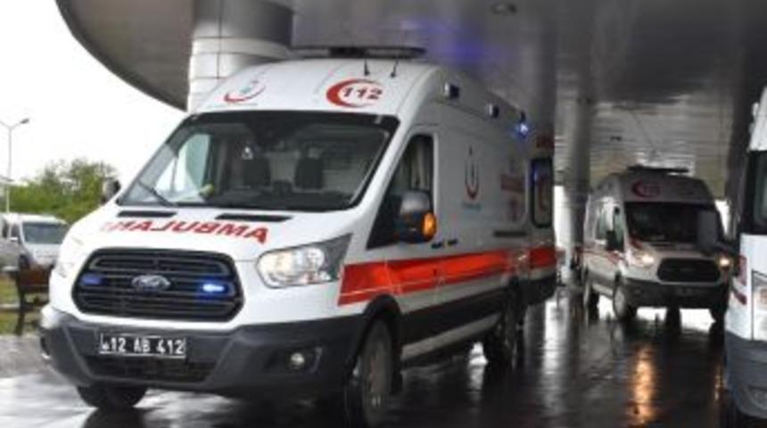 Bingöl’de Kene Vakası Görüldü