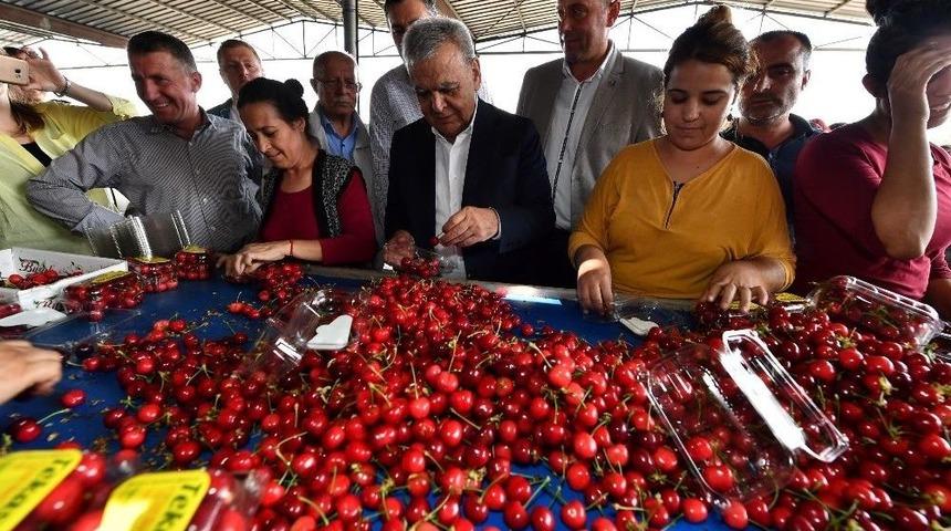 Başkan Kocaoğlu, Kiraz &Uuml;reticileri İle Buluştu