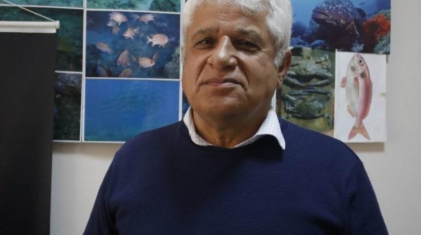 Akdenizin İşgalci Balıkları Su Altında G&ouml;r&uuml;nt&uuml;lendi