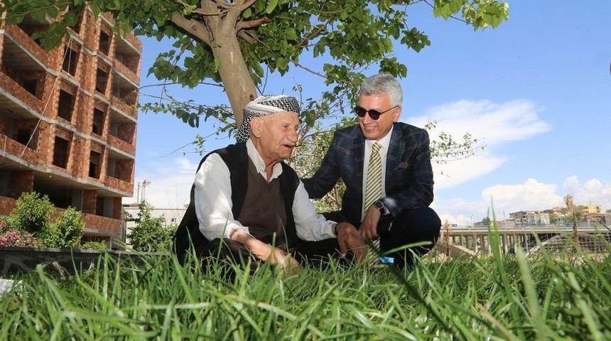 Cizre Sokaklaları Canlanıyor