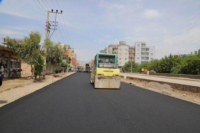 Cizre Sokaklaları Canlanıyor