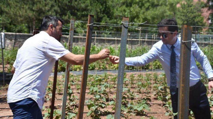 İl&ccedil;ede Tarımın B&uuml;y&uuml;mesi İ&ccedil;in Kaymakamlık &Ouml;rnek Bah&ccedil;e Yaptı