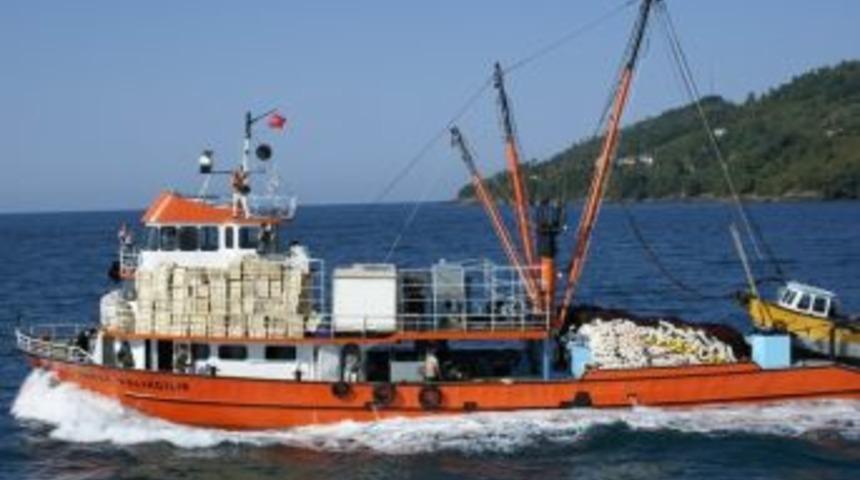 Ordu&rsquo;da Balık Avı Azaldı