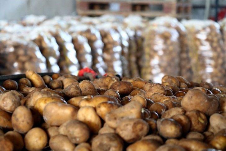 Patates Ve Soğandaki Ateş Sönüyor G3