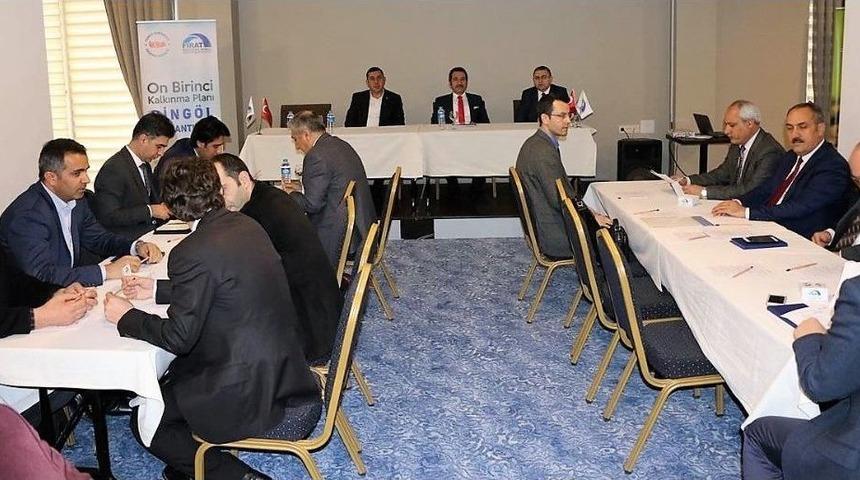 Bing&ouml;l&rsquo;de 11. Kalkınma Planı Hazırlık Toplantısı