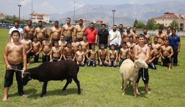 Başpehlivanlar Kırkpınar Öncesi Son Yağlı Antrenmanını Yaptı