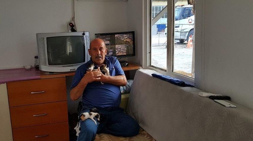 Hurdalıkta Bulduğu 5 Yavru Kediyi Elleriyle Besliyor