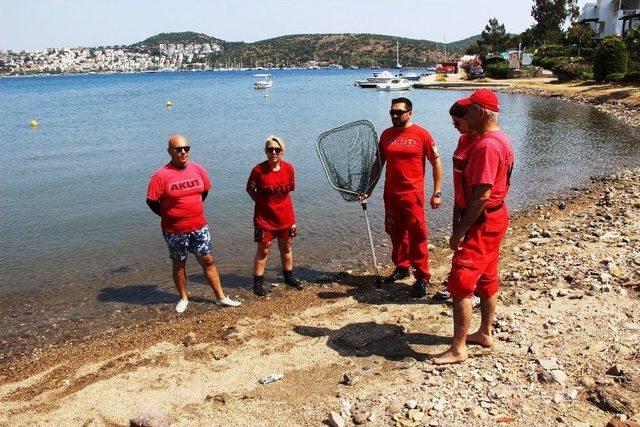 Siyah Kuğu Bodrum’u Ayağa Kaldırdı