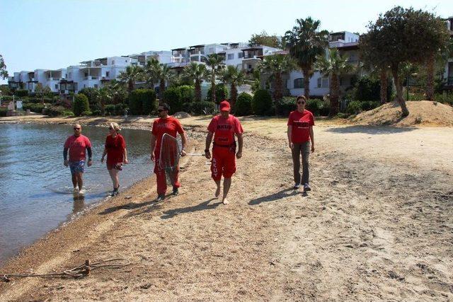 Siyah Kuğu Bodrum’u Ayağa Kaldırdı