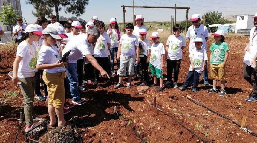Minik Öğrencilere Organik Tarım Anlatıldı