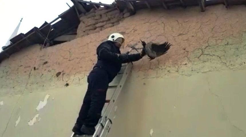 Başı Sıkışan Kargayı İtfaiye Ekipleri Kurtardı