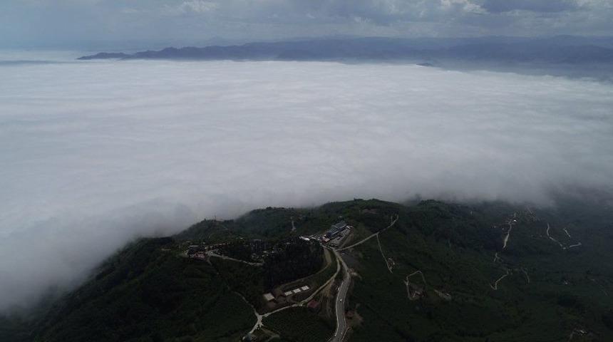 Ordu&rsquo;yu Sis Aldı, U&ccedil;uşlar İptal Oldu