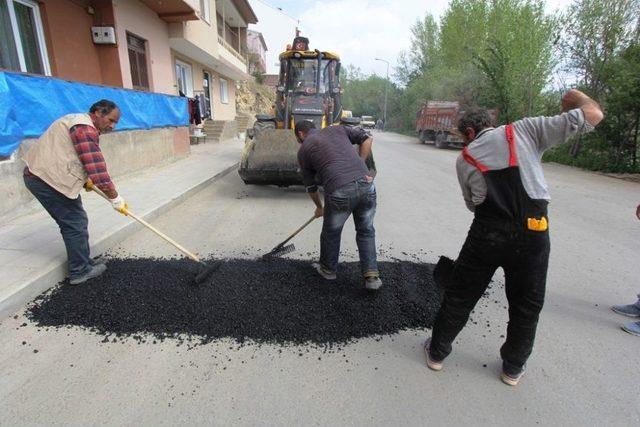 Bayburt Belediyesi’nden Bahar Mesaisi