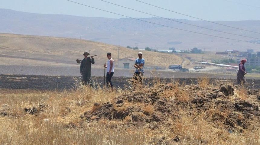 Tandırdan &Ccedil;ıkan Kıvılcımlar Anız Yangınına Neden Oldu