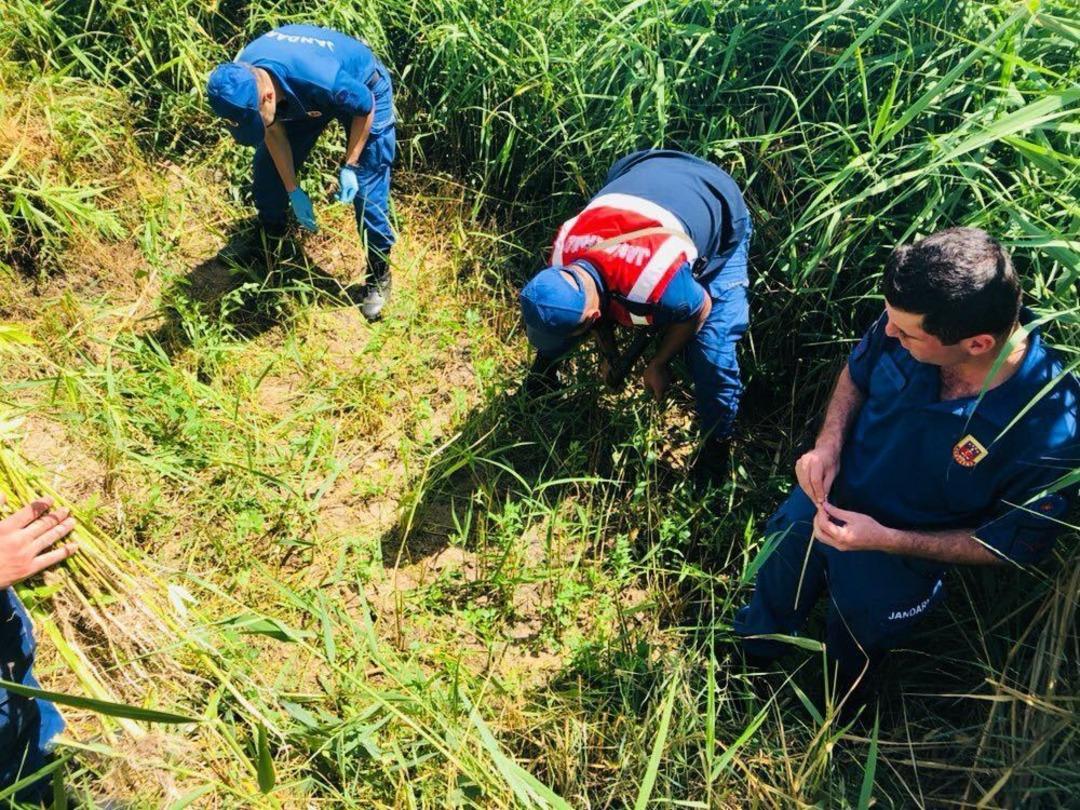 Beyşehir&rsquo;de Jandarmadan Kenevir Operasyonu