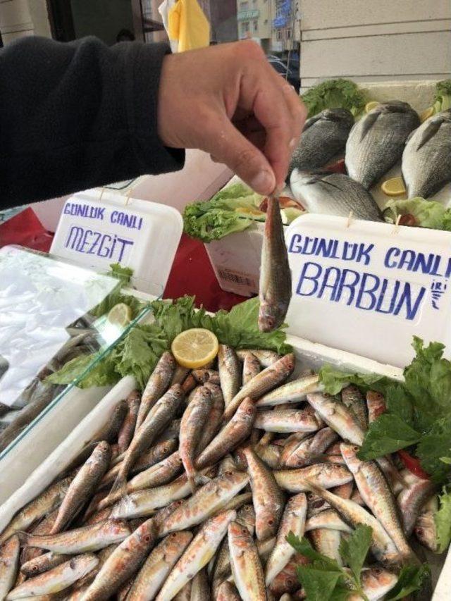 Balık Fiyatları, Kırmızı Etle Yarışıyor