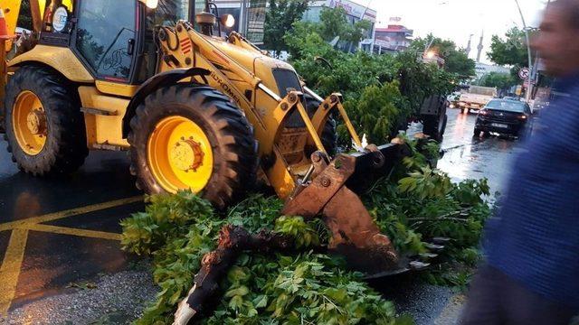 Düzce Belediyesi Anında Müdahale Etti