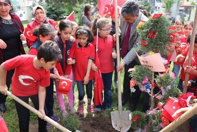 ‘bu Vatan İçin Biz De Varız’ Dediler, Şehitliğe Fidan Diktiler