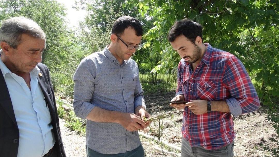 Domani&ccedil;&rsquo;te Zarar Tespit &Ccedil;alışmaları