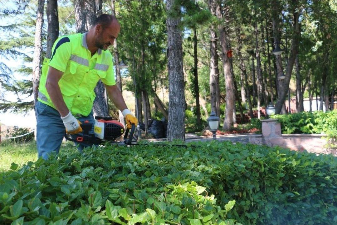 &Ccedil;ankırı Kalesi &Ccedil;i&ccedil;ek A&ccedil;tı