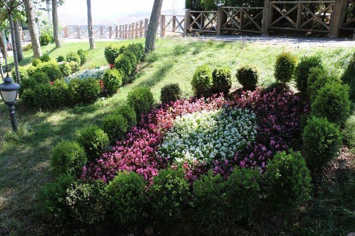 Çankırı Kalesi Çiçek Açtı G1