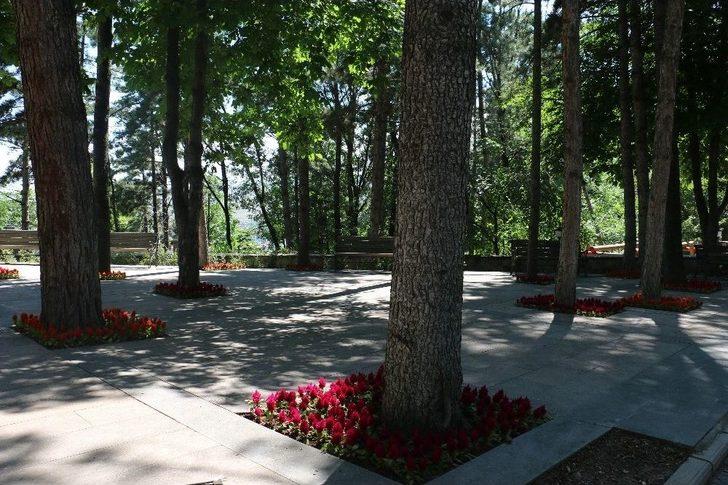 Çankırı Kalesi Çiçek Açtı G2