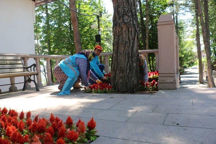 Çankırı Kalesi Çiçek Açtı G3