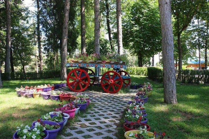 Çankırı Kalesi Çiçek Açtı G4