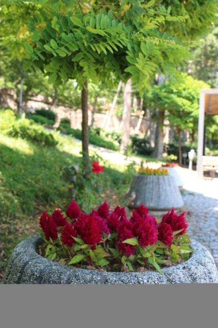 Çankırı Kalesi Çiçek Açtı G5