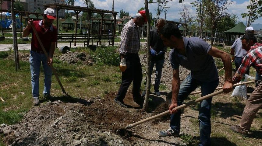 Aziziye’ye 50 Bin Çiçek Dikiliyor