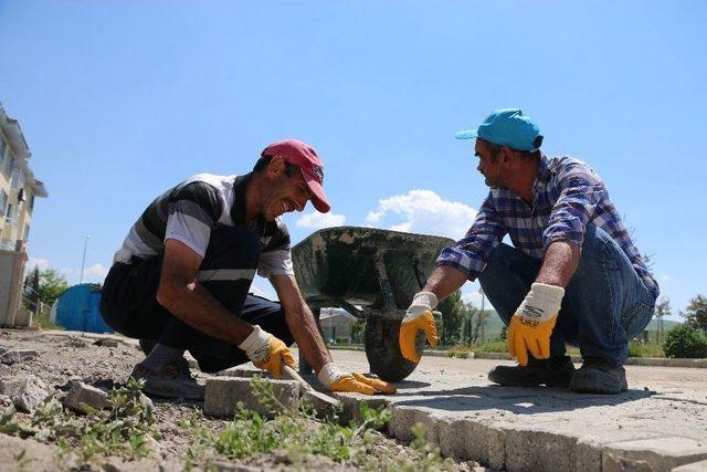 Aziziye’ye 50 Bin Çiçek Dikiliyor