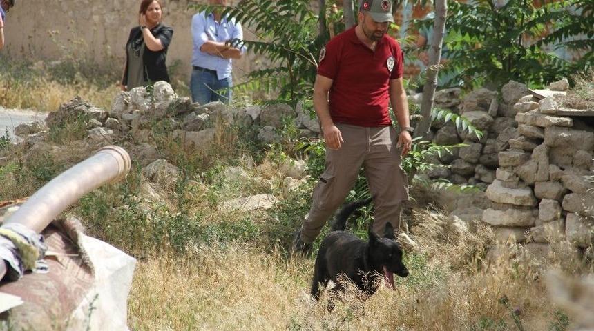 6 Gündür Kayıp Olan Eylül Hala Bulunamadı