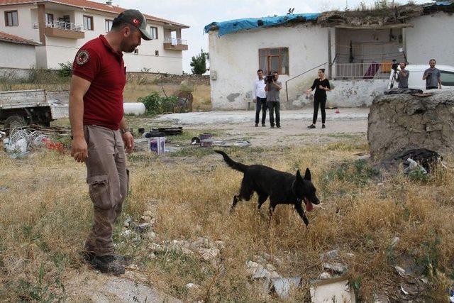 6 Gündür Kayıp Olan Eylül Hala Bulunamadı