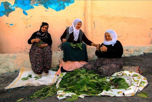 Yeşilyurt’un Mutluluğu Kadraja Sığmadı