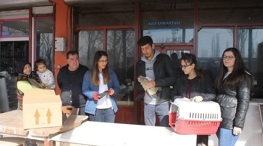 Kulaklı Orman Baykuşu Koruma Altında