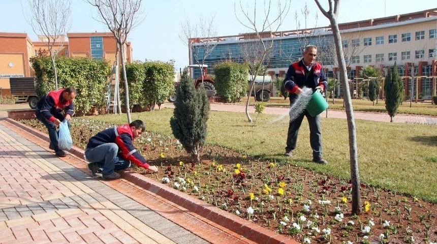 &Uuml;niversite Kamp&uuml;s&uuml;nde Bahar Hazırlığı