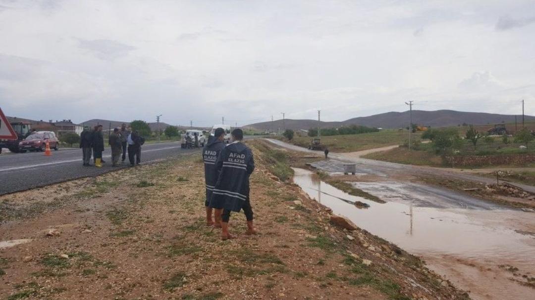 Koyun Ve Kuzuları Sel G&ouml;t&uuml;rd&uuml;