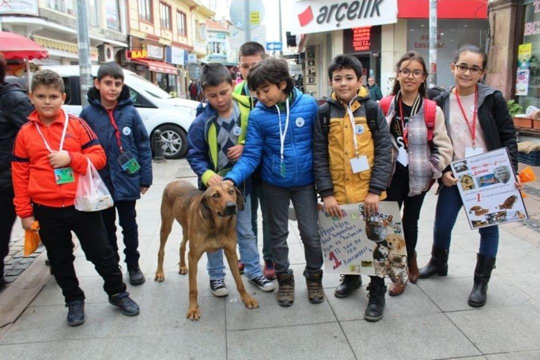 Minik &Ouml;ğrenciler 1 Tl&rsquo;ye Kartpostal Satarak Sokak Hayvanlarını Doyurdu