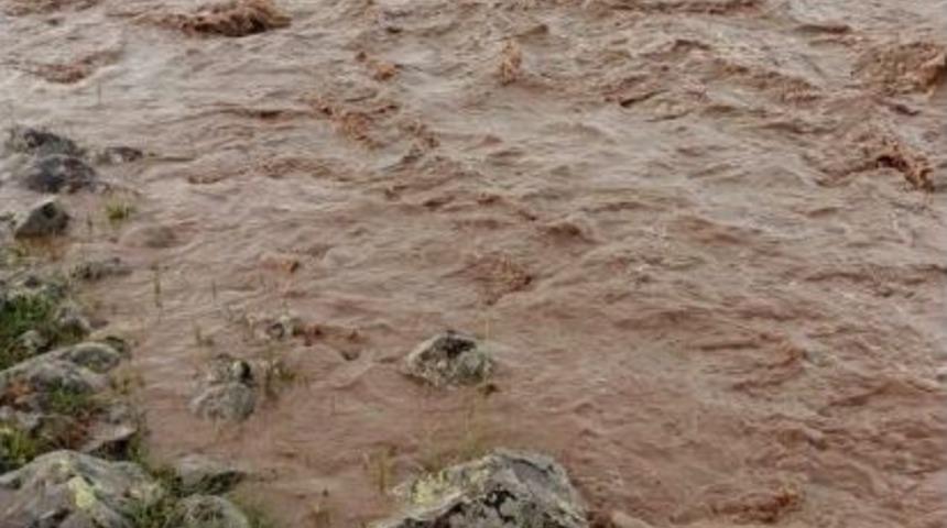 Siverek&rsquo;te Şiddetli Yağışta Hayvanlar Telef Oldu