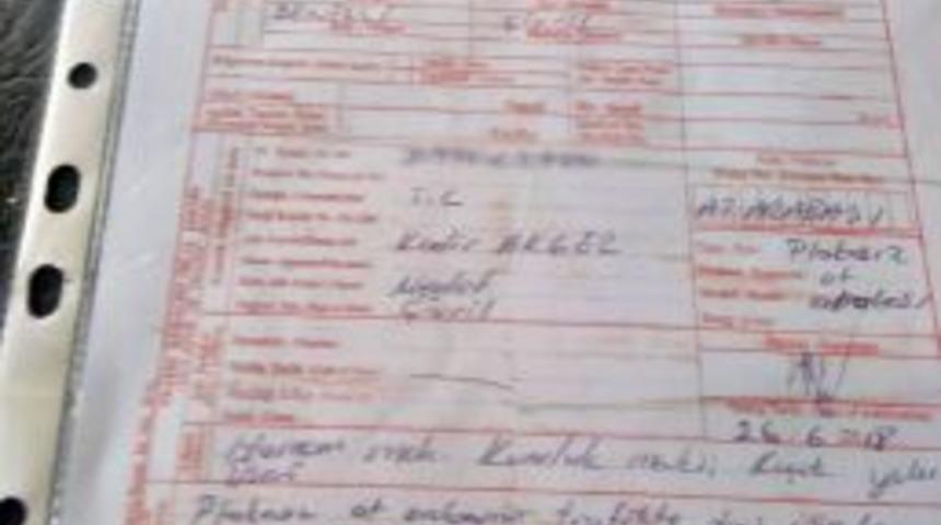 At Arabasına &lsquo;trafik Cezası&rsquo; Kesildi