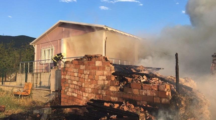 Amasya’da Yangında 4 Büyükbaş Hayvan Yandı