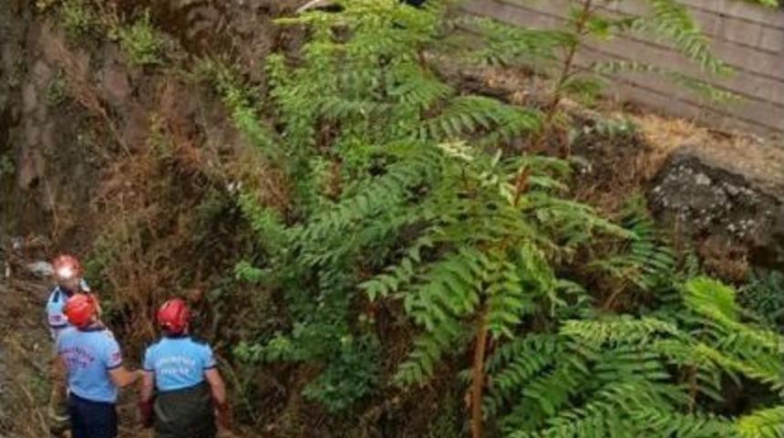 Dereye D&uuml;şen K&ouml;pek İ&ccedil;in Seferber Oldular