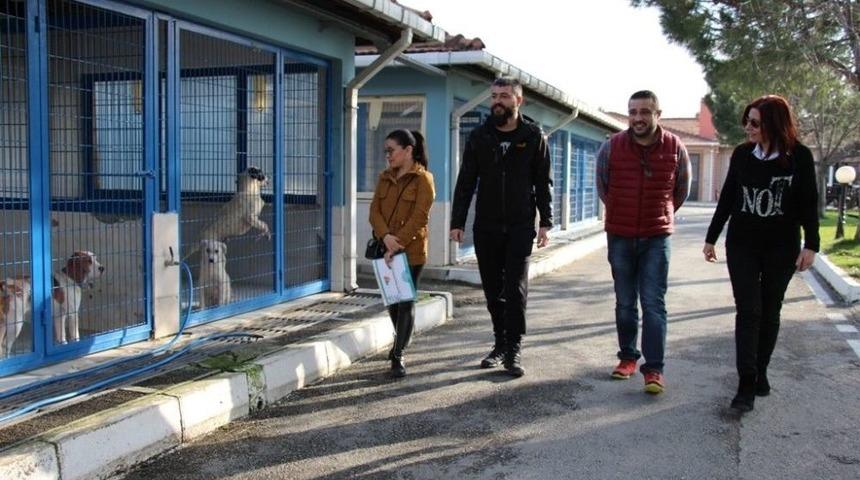 Sokak Hayvanlarına Şefkat Eli