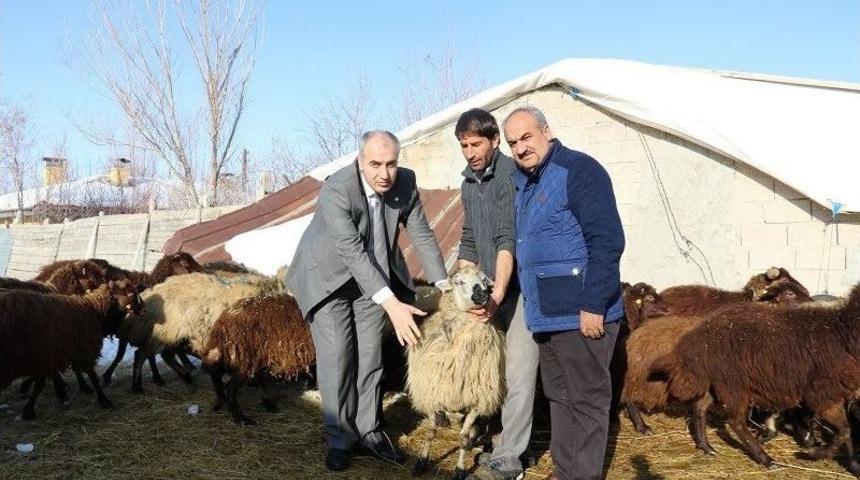 Genç Çiftçi Projesi İle Hayaline Kavuştu