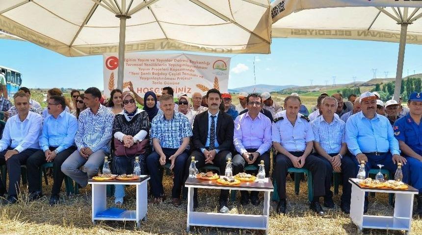 Kocasinan&rsquo;da Şanlı Buğday &Ccedil;eşidi Tarla G&uuml;n&uuml;