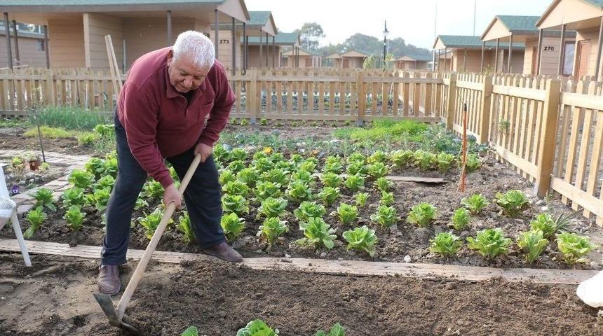 Hobi Bah&ccedil;esi Emeklilerin Vazge&ccedil;ilmezi Oldu